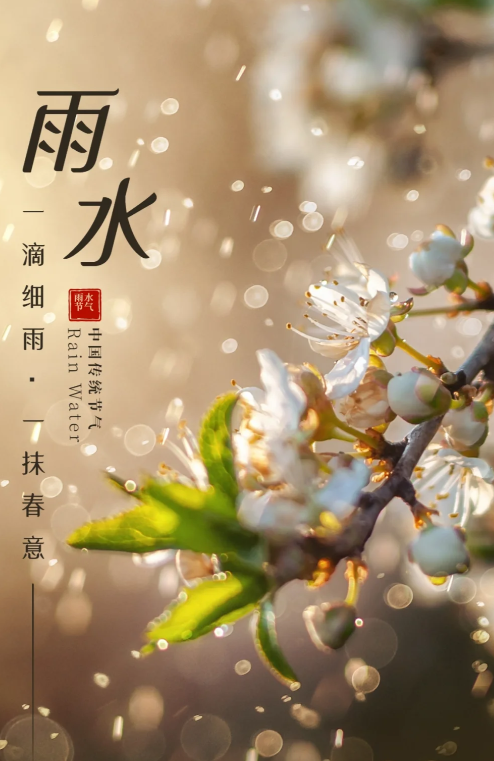 鲸贝儿板材 | 雨水带来生机