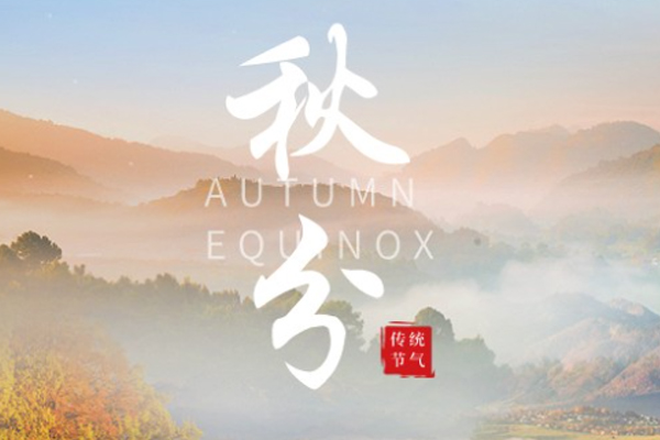 鲸贝儿板材 | 云淡风清扬,秋色可分长